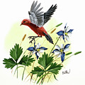 Scarlet Tanager and Blue Columbine