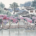 Suzhou Gardens